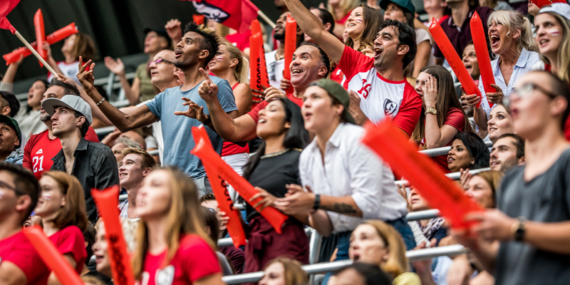 Excited crowd in a sports stadium cheering and waving flags and inflatable batons