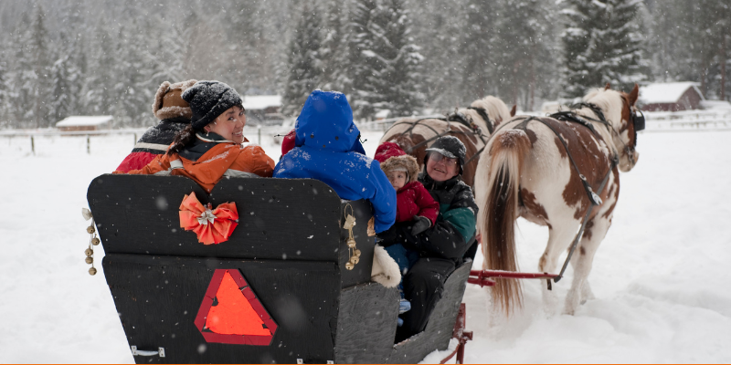 Horses pulling sleigh through snow with family bundled up in winter coats and hats