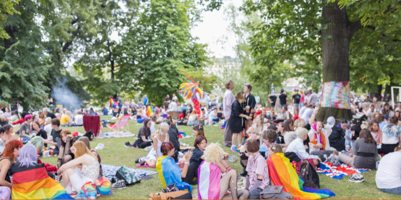 People with rainbow and other pride flags at a community picnic