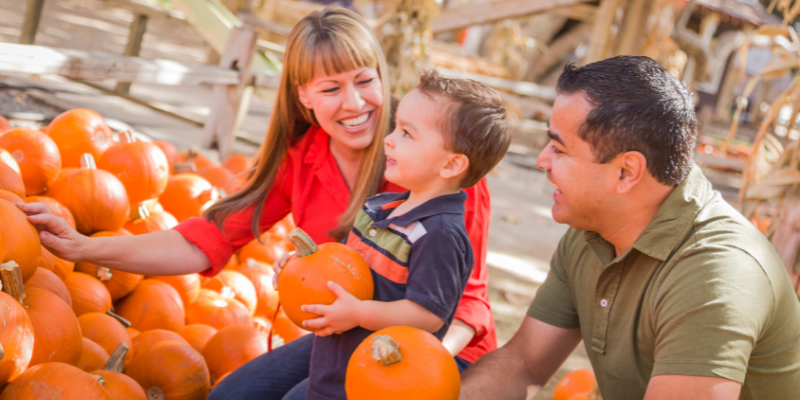 Smiling man and woman picking pumpkins from a huge pile with their young son