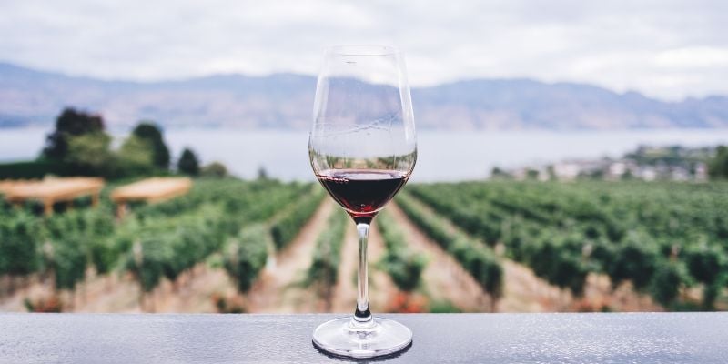 glass_of_wine_infront_of_vineyard.jpg