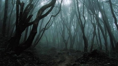dark forest haunted