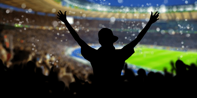 Silhouette of cheering fan in a sports arena.
