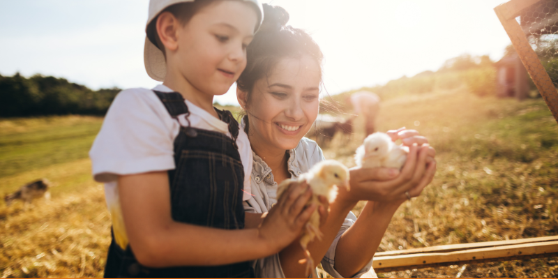 Cute little boy with his mother holding baby chicks on a farm